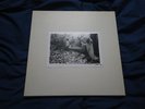 Sunn O))) White Vinyl Box #20/500 RARE Drone Doom Metal Earth