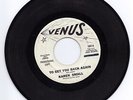 Karen Small-To Get You Back Again / That's Why I Cry-Venus 1067 Northern Soul