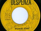 THE IVORYS Please Stay RARE NORTHERN SOUL 45 DESPENZA 12266