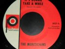 The Morticians It's gonna tale a while US 66 garage psych 45 on Palmer EX
