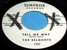 THE BELMONTS Tell Me Why 45 Rare 1st Press Surprise WL Promo Doo Wop Nice One