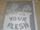 Your Flesh #3 HC punk zine fanzine '82 Code of Honor Articles of Faith Discharge