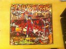 Yeah Yeah Yeahs - Fever To Tell (Picture Disc)