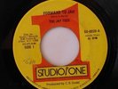 JAY TEES - FORWARD TO JAH // JAY TEES & BRENTFORD ROCKE
