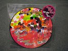 YEAH YEAH YEAHS KAREN O FEVER TO TELL PICTURE DISC LP N.MINT 