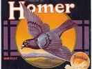 HOMER - GROWN IN USA , RARE US PSYCH LP , AKARMA RE , NM-