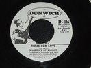 SHADOWS OF KNIGHT 'SOMEONE LIKE ME' DUNWICH D-167 PROMO Garage Punk Fuzz 45