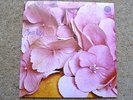 STILL LIFE - S/T. ORIGINAL 1ST UK PRESSING.VERTIGO..NEAR MINT
