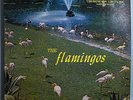 THE FLAMINGOS FIRST ALBUM INSANELY RARE ORIG '58 CHECKED MONO LP BLACK LABEL N/M