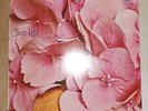 STILL LIFE same  -  Vertigo/Swirl Germany OG 1st