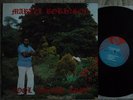 MARTEL ROBINSON - COOL SHADY TREE (RARE 1978 REGGAE LP, RAY RECS, EX+ COND)
