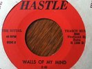 Ritual Speed Freak Punk Fuzz Garage 45 Walls Of My Mind 