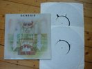 Genesis Moonswept Paradise Clean Sound  CS 1004  2LP