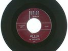 RARE 45 RPM, The Silhouettes, Junior Records 391, Get A Job/I Am Lonely, VG+