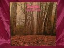 TWINK THINK PINK LP EXCELLENT ACID PSYCH EXTREMELY PSYCHEDELIC AND RARE