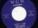 THE WERPS RARE ORIG US GARAGE 45 ON WGW 'LOVES A FIRE