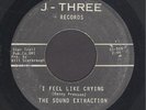The Sound Extraction  I Feel Like Crying   KENTUCKY GARAGE 45 MUST HEAR