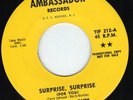GARAGE PSYCH PUNK PROMO 45 Surprise Surprise THE LOVED ONES Ambassador MINT HEAR