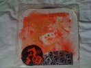Nihilist Assault Group - Aural Retribution Ltd 10 hand painted test press LP