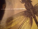 Coheed And Cambria Second Stage Turbine Blade Tour Bundle Signed