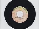SUN SHINE RECORDS/SUFFERING  -  PAUL FREEMAN  (REGGAE  7