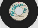 EVERY LITTLE THING - ROD TAYLOR