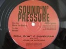 Fish, Goat + Suffurah – Warm The Nation - Orig 1993 UK 12” Digi Roots Listen 