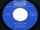 1960s CRANBERRY MUSTACHE Far From Home OHIO GARAGE/PSYCH 45 ON CLEARHILL *HEAR $