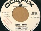 SHELLY FABARES 