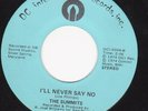 THE SUMMITS I'll Never Say No (DC INTERNATIONAL) Rare Northern Soul 45 Listen