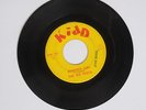 The Six Pents Texas Garage rock 45 Kidd She Lied & Summer Girl