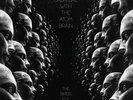 Creature With The Atom Brain - The Birds Fly Low - Lanegan Lp