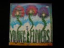 YOUNG FLOWERS Blomsterpistolen + Nr 2 Danish double LP NM Psych