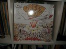 Green Day Dookie LP punk Garage