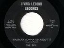 EVIL - WHATCHA GONNA DO ABOUT IT - LEGENDARY '66 FLORIDA GARAGE - HEAR IT
