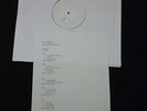 BLACK CROWES FREAK N ROLL...INTO THE FOG Vinyl - 3 LP rare vinyl test pressing