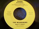 1967 GARAGE--WANDERERS--WHAT'S RIGHT? / CONSOLIDATED CHARACTER--CAGG