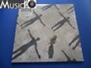 Muse - Absolution - 2LP - SIGILLATO