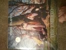 Pink Floyd The Embryo Swingin Pig RARE