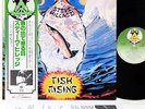 (GONG) STEVE HILLAGE fish rising JAPAN '78 LP w/OBI rare   [FREE P+P]