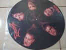 DISMEMBER PICTURE DISC PIECES first pressing
