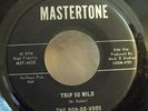 THE RON-DE-VOOS Rare/Private Folk/Psych RUN RUN RUN/TRIP SO WILD Asheville NC 45