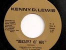 KENNY D. LEWIS Because Of You RARE MODERN CROSSOVER SOUL Hear It