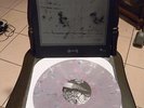RARE #70/125 Integrity 01.13.2007 live LP Pulling Teeth w/ Dwid Hellion A389