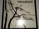 Pharoah Sanders PHAROAH 1977 India Navigation LP Original - RARE