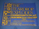 THE TEARDROP EXPLODES - WILDER UK TOUR PROMO POSTER - 1981 (ECHO & THE BUNNYMEN)