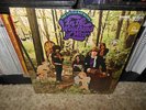 LITTLE BOY BLUES Woodland of Weir LP Fontana Psych M-/M-