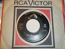 BOBBY DAY: Rare N. Soul BUZZ BUZZ BUZZ / PRETTY LITTLE GIRL NEXT DOOR 1963 RCA