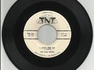 Rockabilly The Blue Notes 