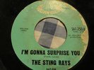 THE STING RAYS RNB NEW BREED MOD NORTHERN SOUL RARE GARAGE 60S